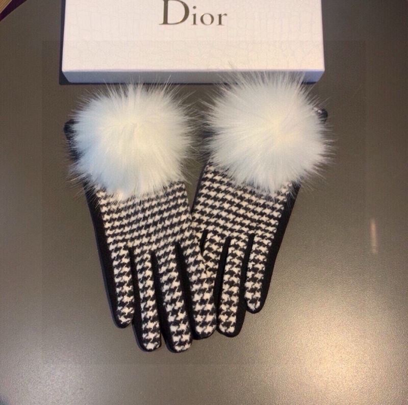 Christian Dior Gloves